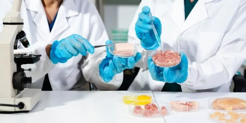 Scientific Manuscript Preparation For Credible Journals